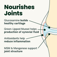 Thumbnail for VetriScience Ultimate Strength Healthy Hip & Joint Chews, GlycoFlex Glucosamine, Chondroitin and Green-Lipped Mussel Joint Supplement for Cats, Soothe Joint Discomfort, Fish, 30 Count