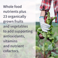 Thumbnail for Garden of Life Vitamin B Complex, 120 Vegan Capsules, High Potency Vitamins for Energy & Metabolism with B6, Folate & B12 as Methylcobalamin Plus Probiotics