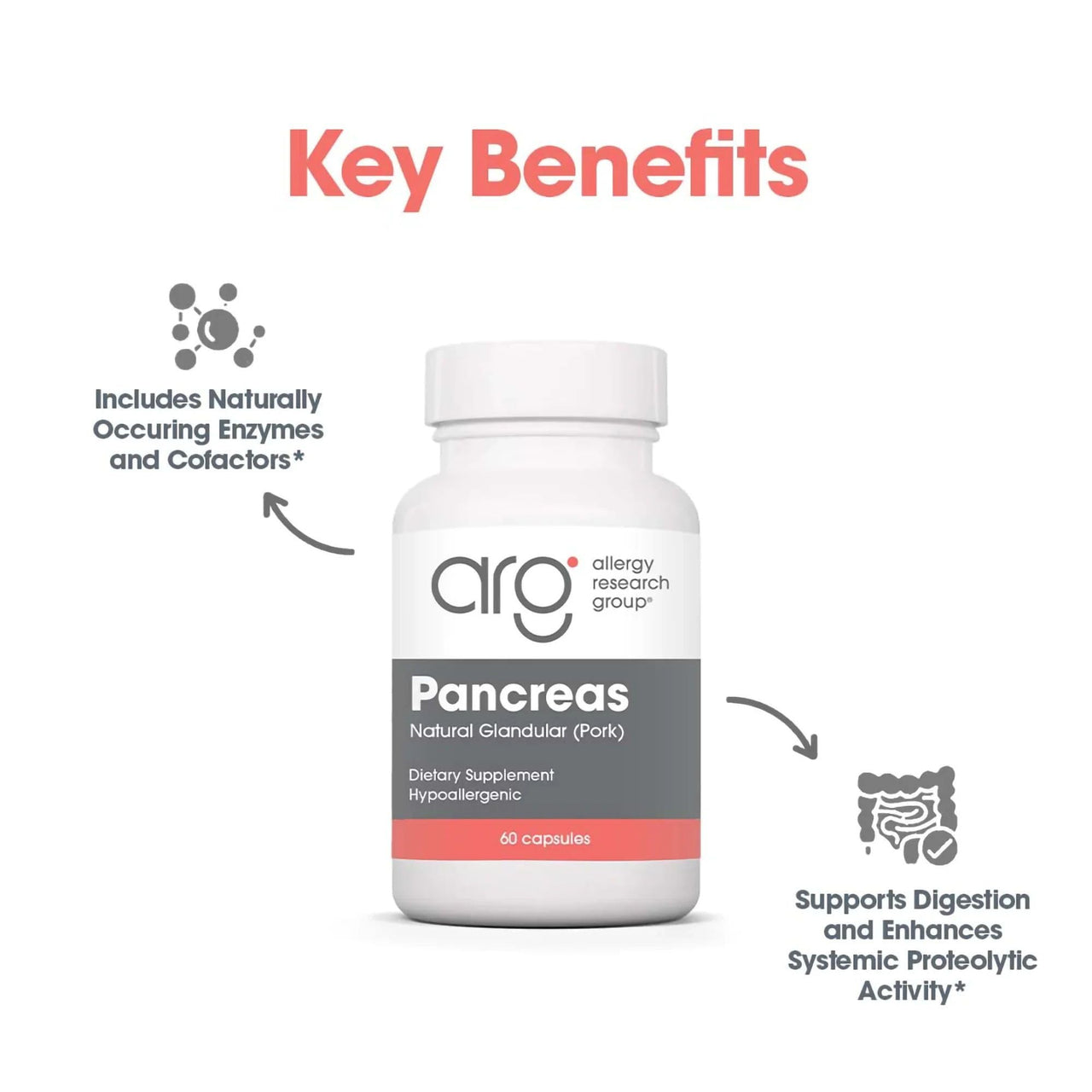 Nutricology Pancreas Pork 425mg Supplement - Pancreas Natural Glandular, Pancreatic Enzymes, Amylase, Protease, Lipase, Hypoallergenic - 60 Count