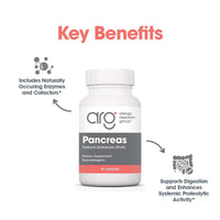 Thumbnail for Nutricology Pancreas Pork 425mg Supplement - Pancreas Natural Glandular, Pancreatic Enzymes, Amylase, Protease, Lipase, Hypoallergenic - 60 Count
