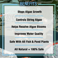 Thumbnail for MICROBE-LIFT ALGA16 Algaway 5.4 Algae Control Treatment for Ponds and Water Gardens, Safe for Koi Fish, Goldfish, Plants, and Decorations, 16 Ounces