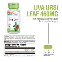 Thumbnail for SOLARAY Uva Ursi Leaf 460 mg | Healthy Bladder, Kidney & Urinary Tract Function Support | Non-GMO | 100ct (Take 3 Daily)