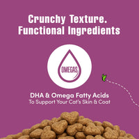Thumbnail for Get Naked Digestive Health Crunchy Cat Treats 2.5oz - Chicken Flavor, Grain-Free Cat Probiotics for Indoor Cats, Supports Healthy Digestion, Dental Health & Immunity, Made in The USA