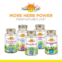 Thumbnail for Nature's Life Celery Seed 500 mg | Circulation and Brain Health Support Supplement | 100ct