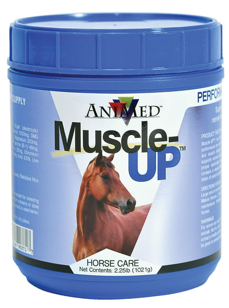 MUSCLE UP PWDR EQ 2.5# 90371, 389037