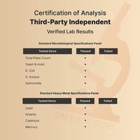 Thumbnail for Digestive Enzymes with Probiotics and Prebiotics, 240 Veggie Capsules | Gut Health Support for Women & Men â€“ 20 Enzyme & 5 Prebiotic Pancreatic Complex | Non-GMO, Vegan