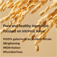 Thumbnail for mixsoon Galactomyces Ferment Essence - Deep Moisture, Tone Clarifying Essence to Smooth Skin for Dull, Uneven Skin - Korean Skincare for Glass Skin - Vegan (3.38 fl.oz / 100ml)