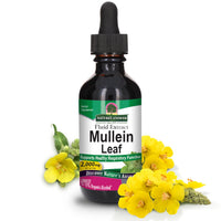 Thumbnail for Nature's Answer Mullein Leaf Fluid Extract, 2 fl oz (60 ml)