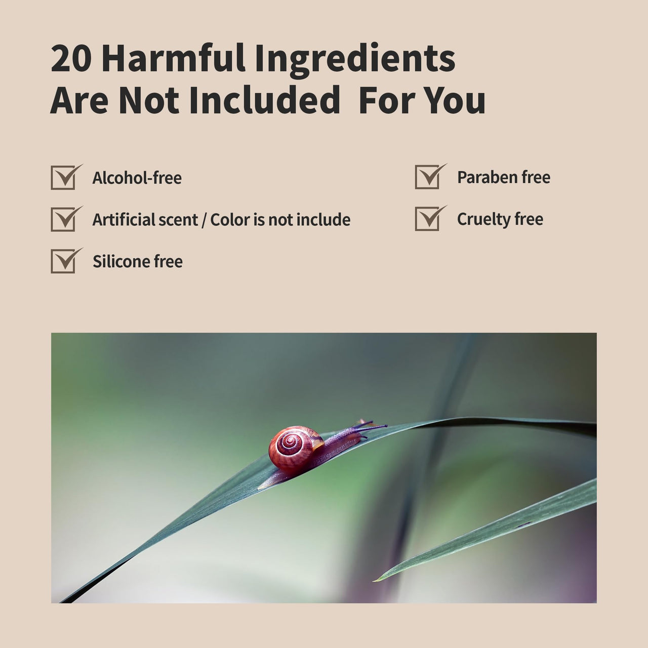 BENTON Snail Bee High Content Lotion 120ml (4.05 fl oz.) - Snail Mucin Moisturizer With Bee Venom | Hydrating Korean Skin Care Facial Moisturizer For Dry Skin & Combination skin