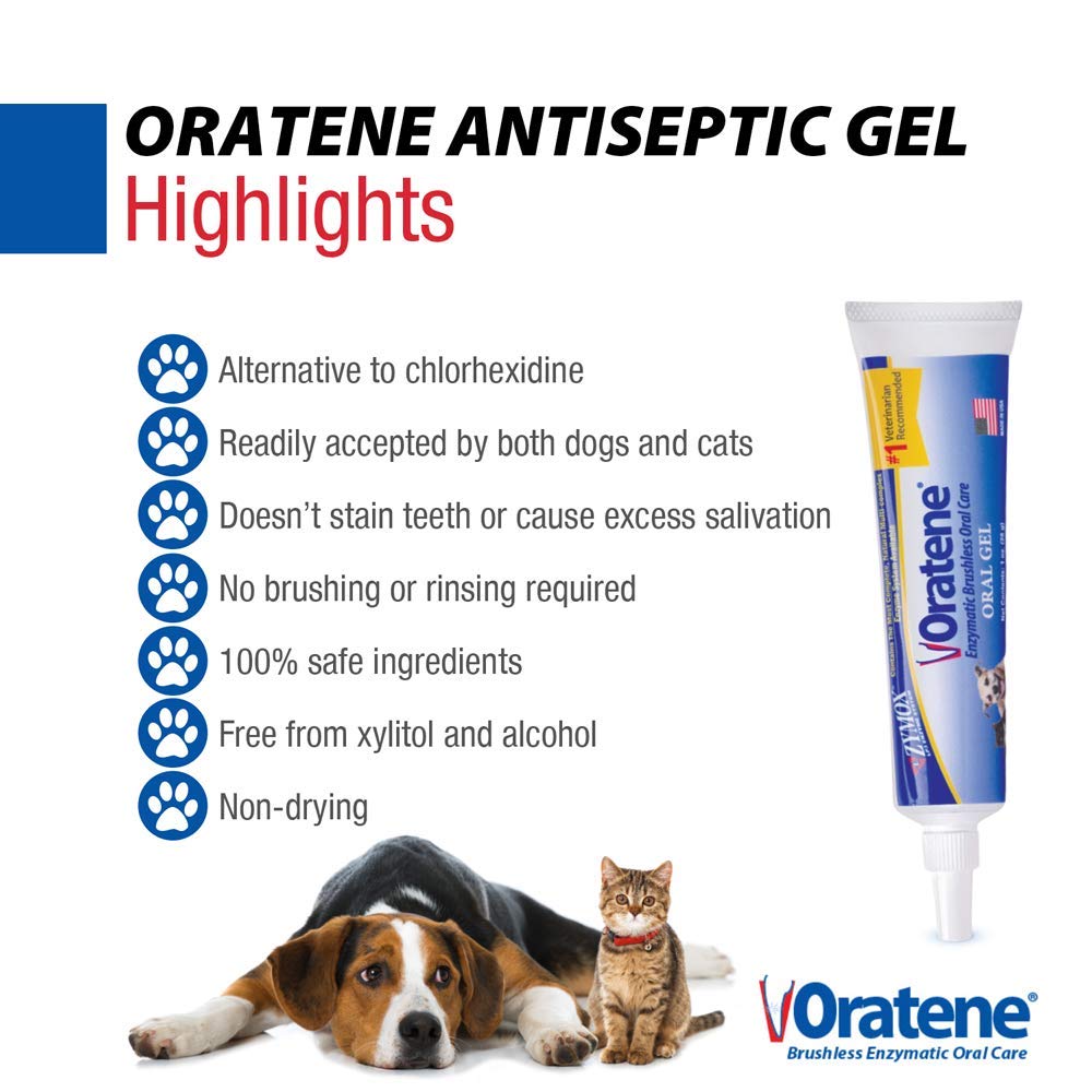 Pet King Brands ZYMOX Oratene Brushless Oral Gel for Dogs and Cats, 1oz