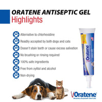 Thumbnail for Pet King Brands ZYMOX Oratene Brushless Oral Gel for Dogs and Cats, 1oz