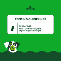 Thumbnail for Greenies Pill Pockets for Dogs Large Size, Dog Treat Pouch for Capsule Medication, Peanut Butter Flavor, 15.8 oz. Pouch
