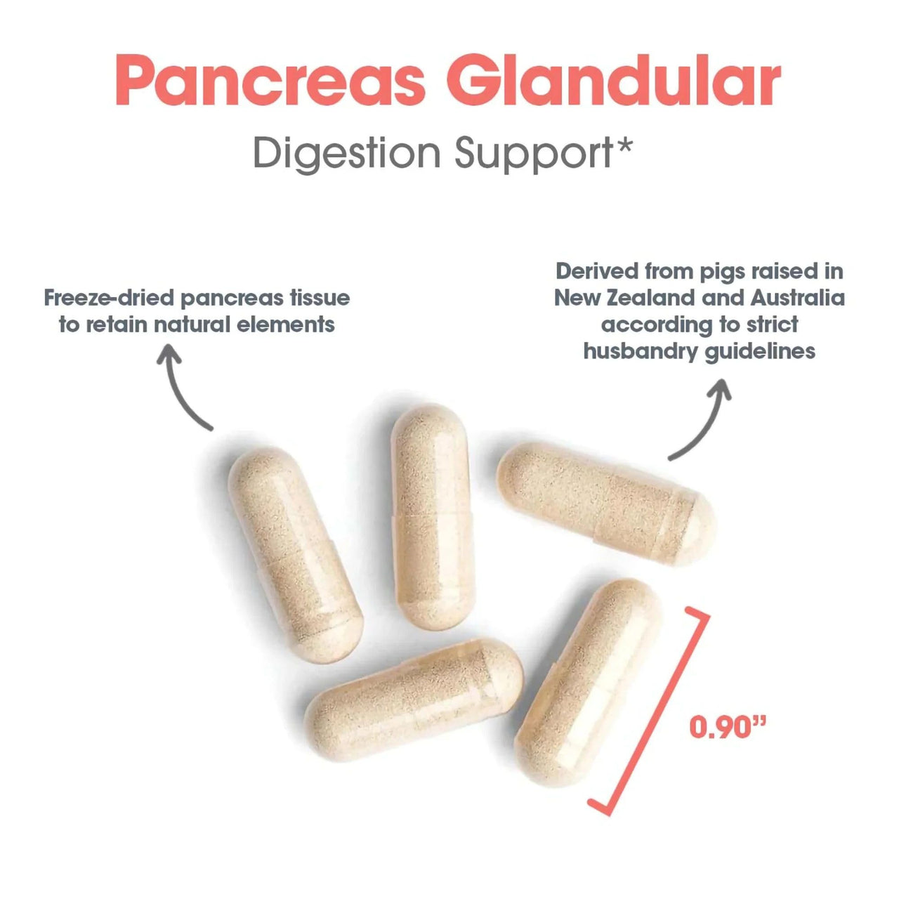 Nutricology Pancreas Pork 425mg Supplement - Pancreas Natural Glandular, Pancreatic Enzymes, Amylase, Protease, Lipase, Hypoallergenic - 60 Count
