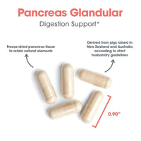 Thumbnail for Nutricology Pancreas Pork 425mg Supplement - Pancreas Natural Glandular, Pancreatic Enzymes, Amylase, Protease, Lipase, Hypoallergenic - 60 Count