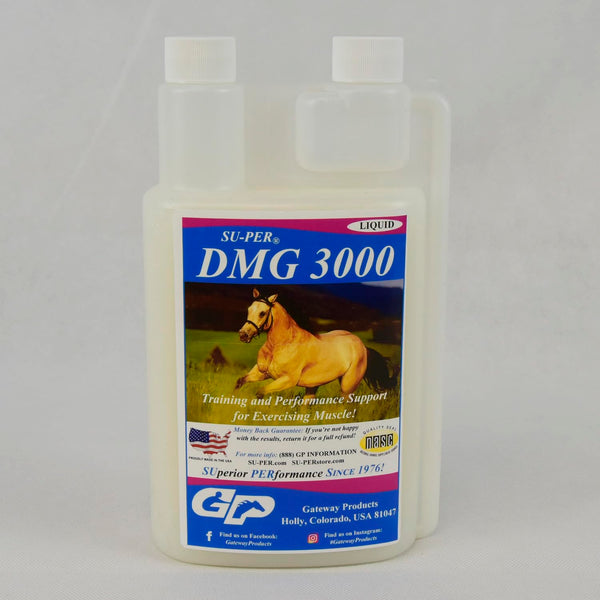 SU-PER DMG 3000 Horse Supplement - Training & Performance Support Liquid - Supports Normal Cardiovascular Immune & Muscle Function - 1 Quart