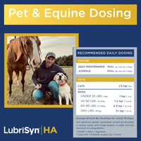 Thumbnail for LubriSynHA Hyaluronic Acid with MSM Hip & Joint Care Supplement for Dogs, Cats & Horses – Liquid Oral HA for Pets – Joint Support Promotes Mobility, Flexibility, Cartilage Health & Comfort – 16oz
