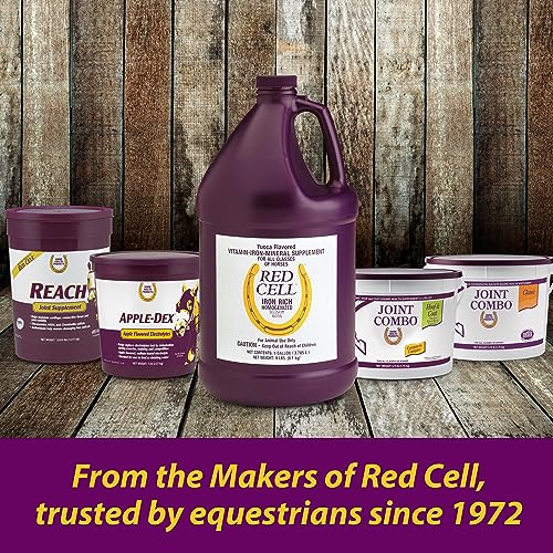 Farnam Horse Health Apple-Dex Apple Flavored Electrolytes for Horses 5 pound