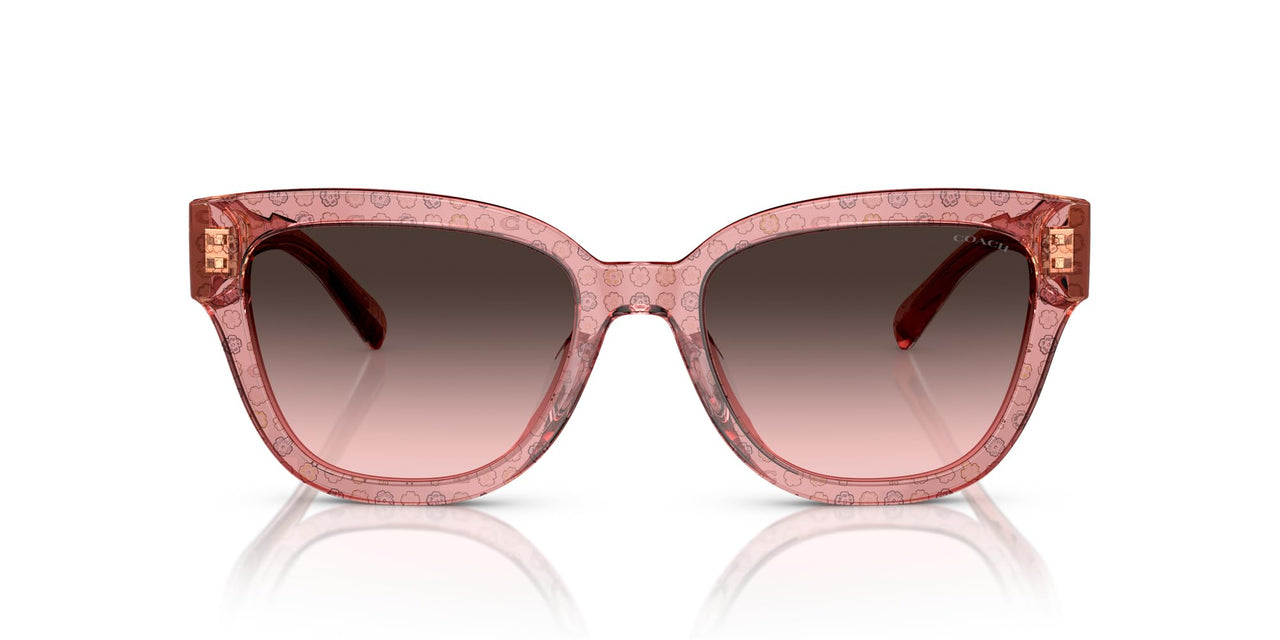 COACH HC8379U Universal Fit Sunglasses, Tea Rose C/Grey Pink Gradient, 54 mm