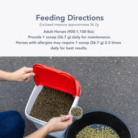 Thumbnail for MVP Air-Way EQ Supports Healthy Lung Function and Seasonal Allergy Support in Horses, 5lb - 40 Servings