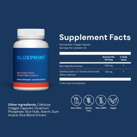 Thumbnail for Blueprint Bryan Johnson Optimization Stack