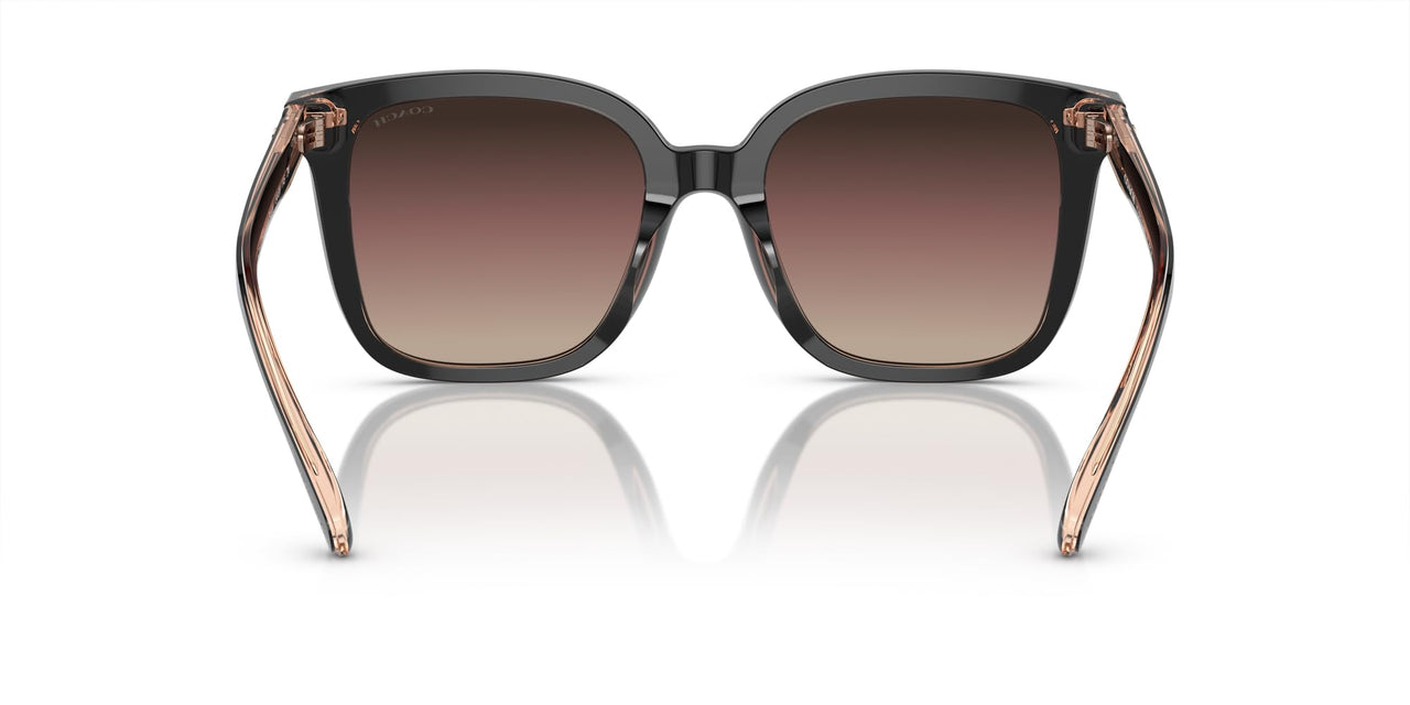 COACH Sunglasses HC 8381 F 5781E2 Cl919 Black/Transparent Blus