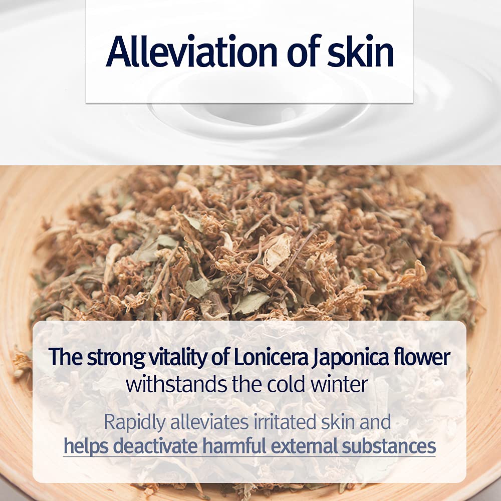 Pyunkang Yul PKY Intensive Ceramide Body Lotion, Non-Greasy, Minimal Ingredients, Zero-Irritation, Korean Skincare (500ml, 16.9 Fl.Oz)