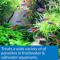 Thumbnail for API GENERAL CURE Freshwater and Saltwater Fish Powder Medication 10-Count Box
