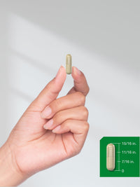 Thumbnail for Horbäach Ginger Root Capsules | 150 Pills | Non-GMO, Gluten Free | Ginger Root Extract