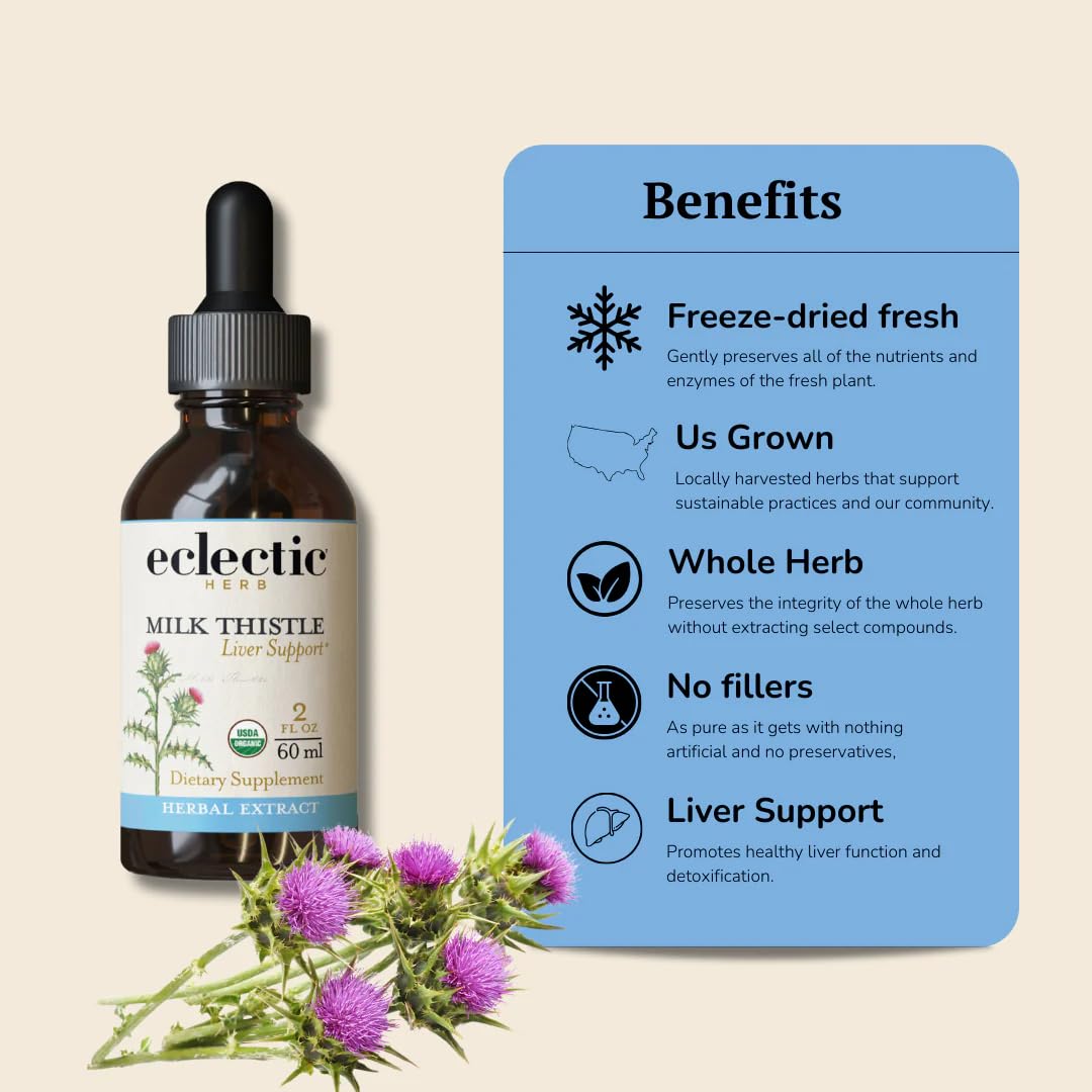 Eclectic Herb - Organic Milk Thistle Liquid Extract (Silybum marianum) | Liver Support & Detox | Herbal Tincture | Vegan, Non-GMO, Gluten Free (1 fl oz | 30 ml)