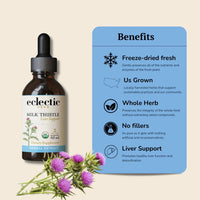 Thumbnail for Eclectic Herb - Organic Milk Thistle Liquid Extract (Silybum marianum) | Liver Support & Detox | Herbal Tincture | Vegan, Non-GMO, Gluten Free (1 fl oz | 30 ml)