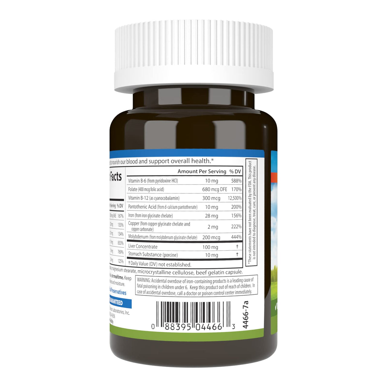 Carlson - Blood Nutrients, 28 mg Iron, Blood Development, Iron Absorption & Optimal Wellness, 40 Capsules