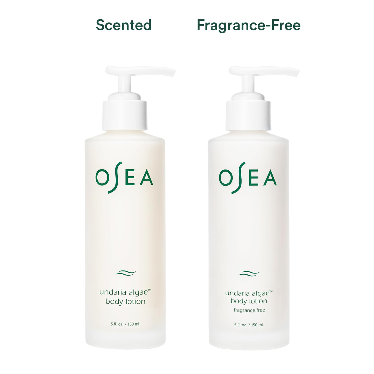 OSEA Undaria Algae™ Body Lotion 5 oz - Ultra-Hydrating & Lightweight Body Lotion - Firms Skin in 4 Hours - Packed with Undaria Seaweed & Hyaluronic Acid - for Dry, Normal, & Combination Skin