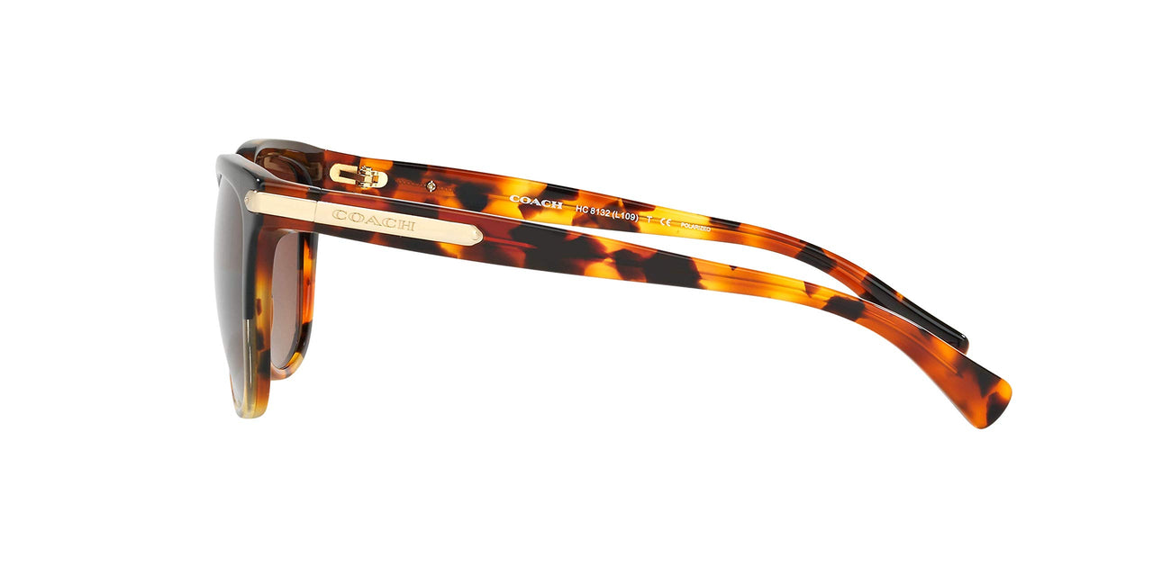 COACH HC8132 Sunglasses, Black Tortoise Gradient/Brown Gradient Polarized, 57 mm
