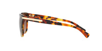 Thumbnail for COACH HC8132 Sunglasses, Black Tortoise Gradient/Brown Gradient Polarized, 57 mm