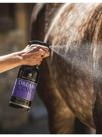 Thumbnail for Carr & Day & Martin Dreamcoat Shine, 500ml
