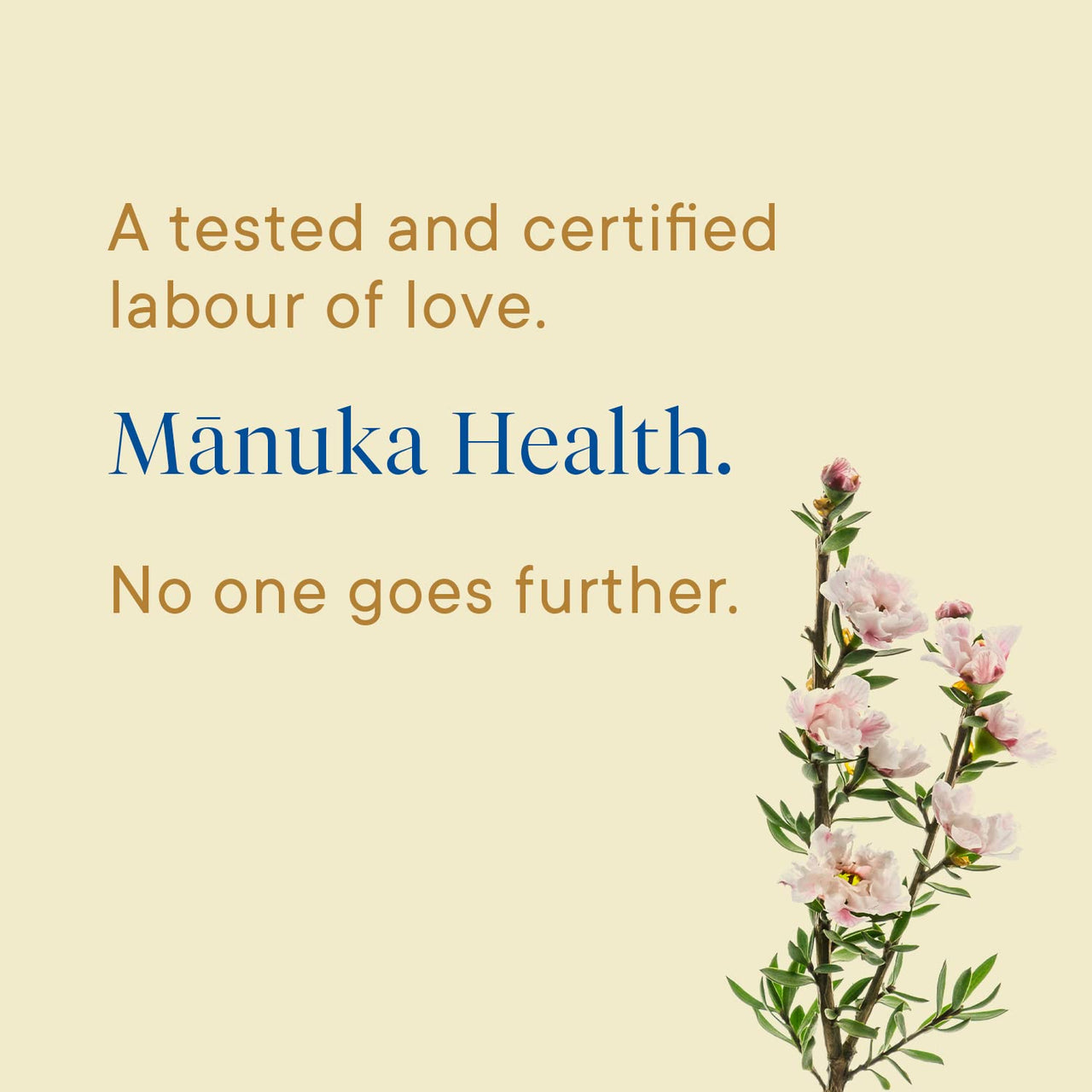 Manuka Health UMF 6+/MGO 115+ Manuka Honey On-The-Go Packets (0.176oz Packets, 12 Count), Superfood, Authentic Raw Honey from New Zealand