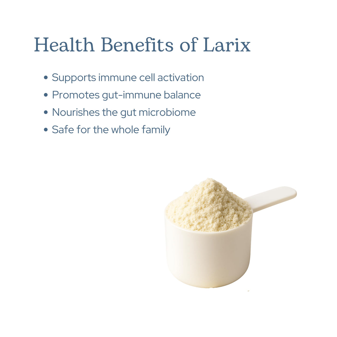 Eclectic Herb - Larix Powder | Natural Immune + Gut Health Support | Larch Laricina | Immunity & Gut Flora Support | Safe for Kids & Adults | Organic, Vegan, Gluten Free, Non-GMO (3 oz | 85 g)