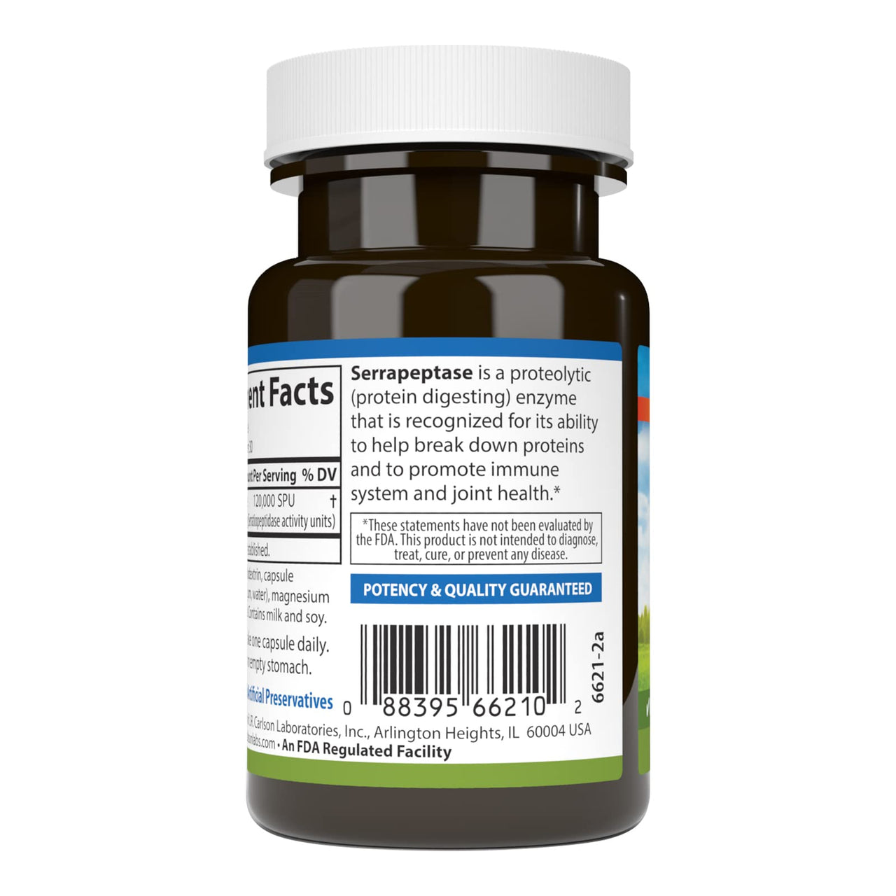 Carlson - Serrapeptase, 120000 SPUs - Delayed Release, Immune Support, Joint Function & Optimal Wellness, 30 Vegetarian Capsules