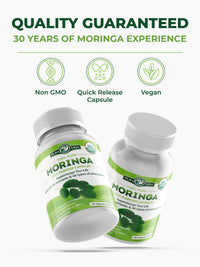 Thumbnail for PURA VIDA MORINGA Organic Moringa Capsules, Pure Moringa Leaf Powder Single Origin for Energy, Metabolism & Immune Support, 120ct, 500mg Caps