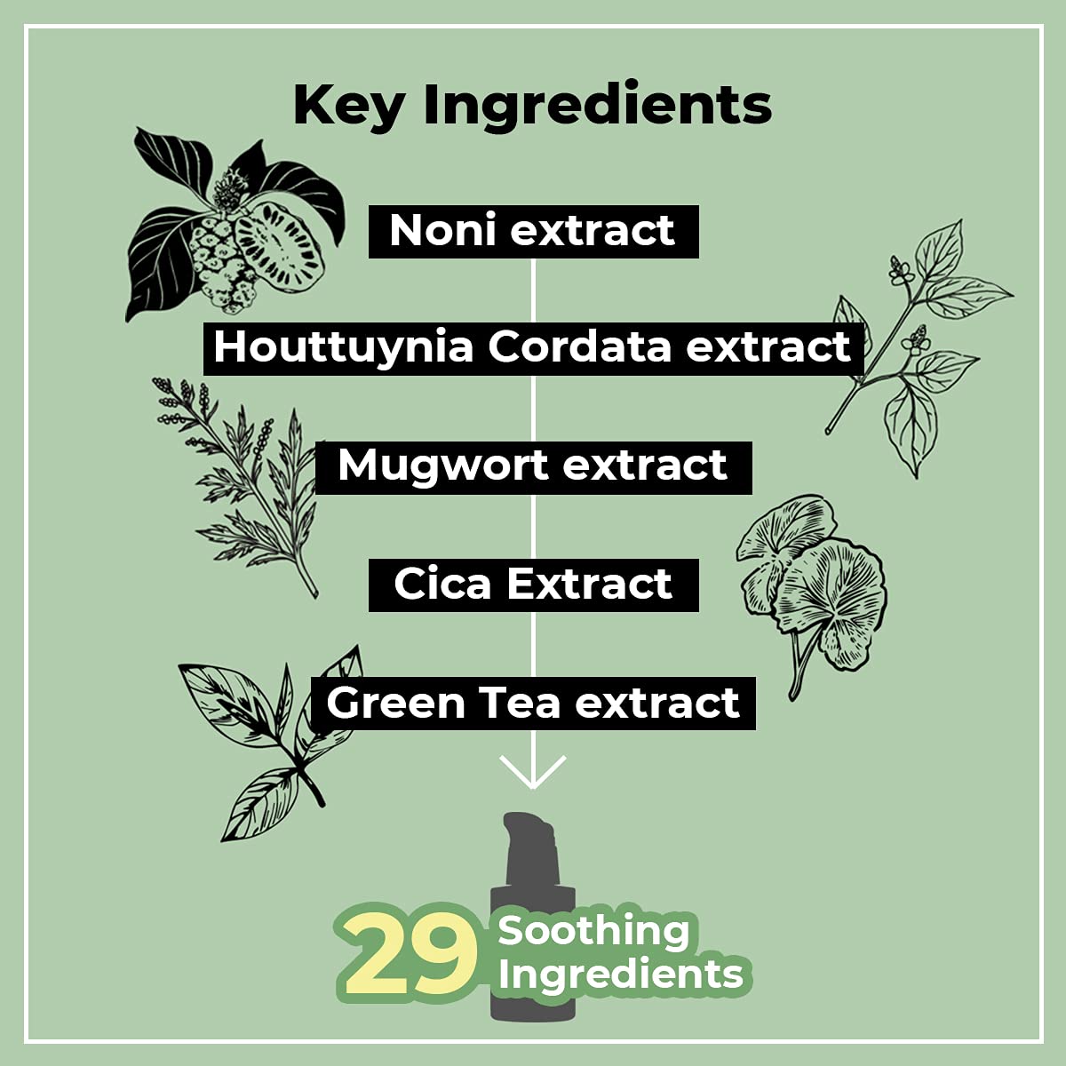 numbuzin No.7 Serum | Mild Green Soothing Serum | Soothing Green Gel for Acne-Prone Skin, Sensitive Redness | Centella Asiatica, Green Tea, Noni | Korean Skincare for Soothing | 1.69 fl. oz.