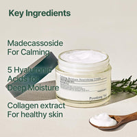 Thumbnail for Pyunkang Yul PKY Calming Moisture Nourishing Cream Instantly Soothes Sensitive Skin, Face Moisturizer for Healthy Skin Vitality with Collagen, Vegan, Korean Skincare (1.69 Fl. Oz, 50ml)