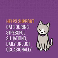 Thumbnail for Sentry Calming Chews for Cats, Calming Aid Helps to Manage Stress & Anxiety, With Pheromones That May Help Curb Destructive Behavior & Separation Anxiety, Calming Health Supplement for Cats, 4 oz.