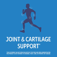 Thumbnail for 21st Century Arthri-Flex Advantage® + Vitamin D3, 120 Coated Tablets