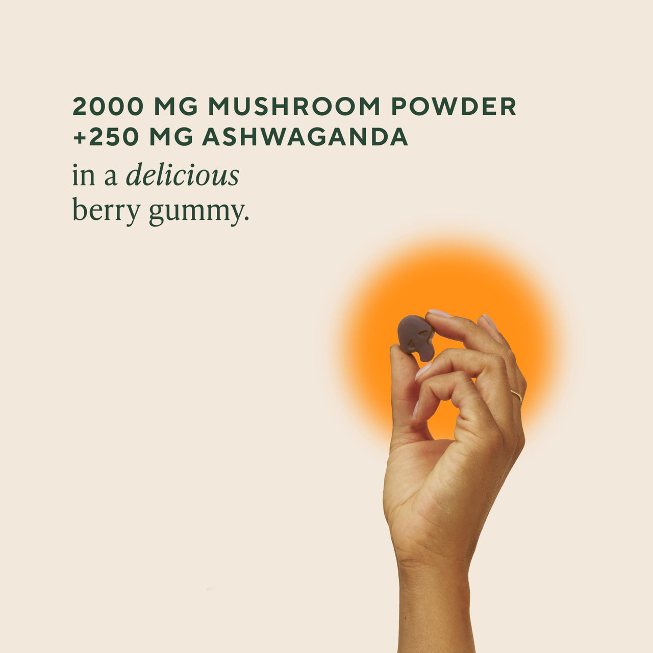 OM MUSHROOM SUPERFOOD Master Blend Mushroom Gummies â€“ Organic 10-Mushroom Complex with Ashwagandha â€“ Supports Immunity, Gut Health & Stress Relief â€“ Mixed Berry Flavor â€“ 28 Servings, 56 Count.