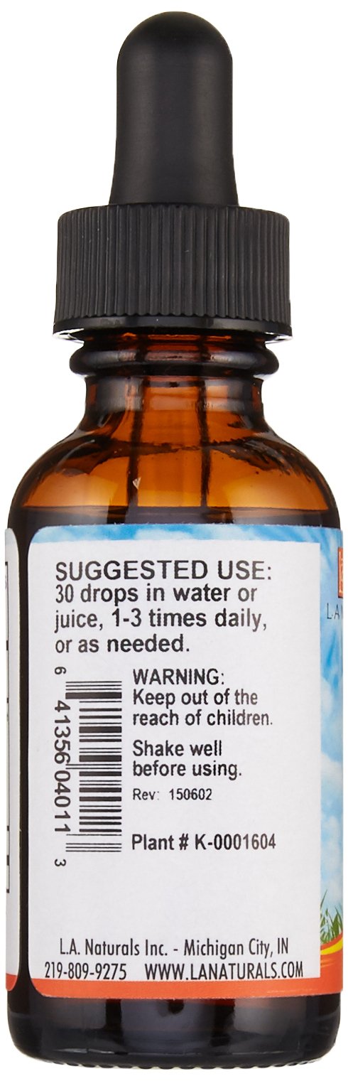 L A NATURALS Dong Quai Imported, 0.02 Pound