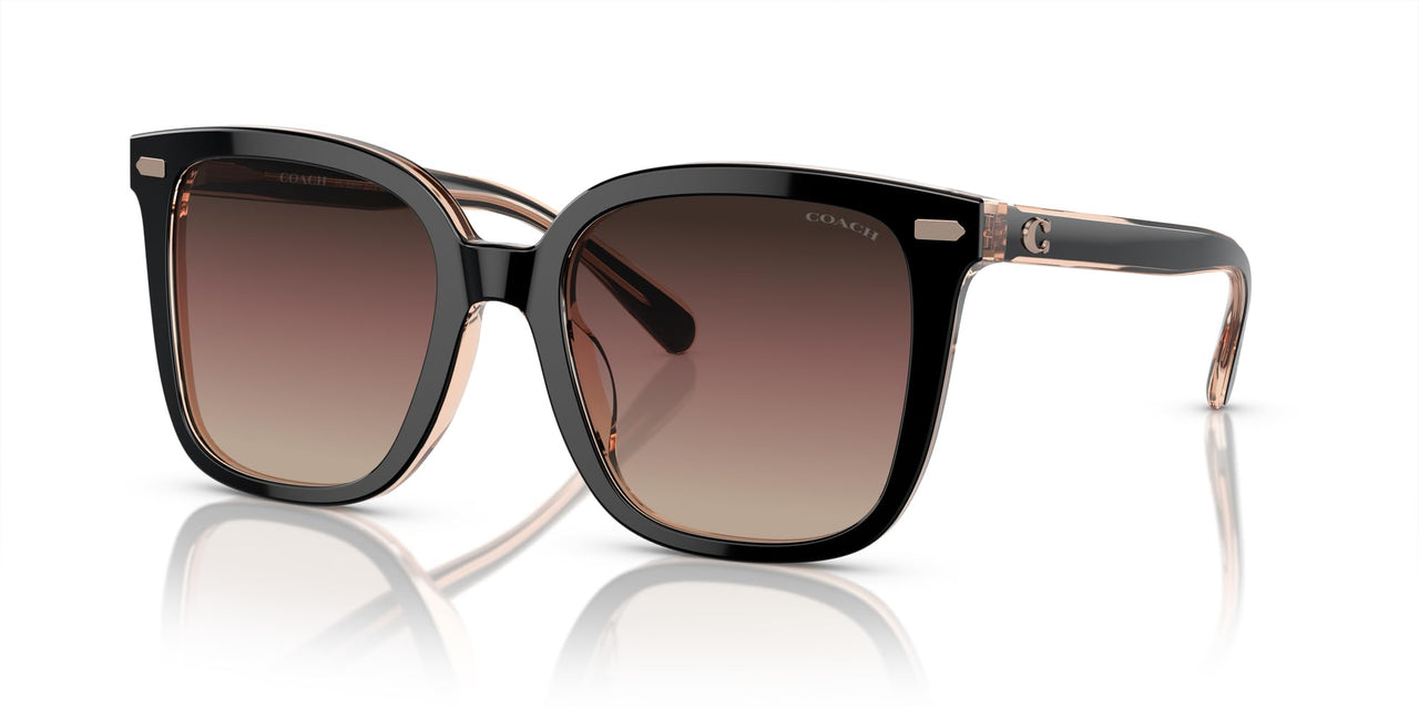 COACH Sunglasses HC 8381 F 5781E2 Cl919 Black/Transparent Blus