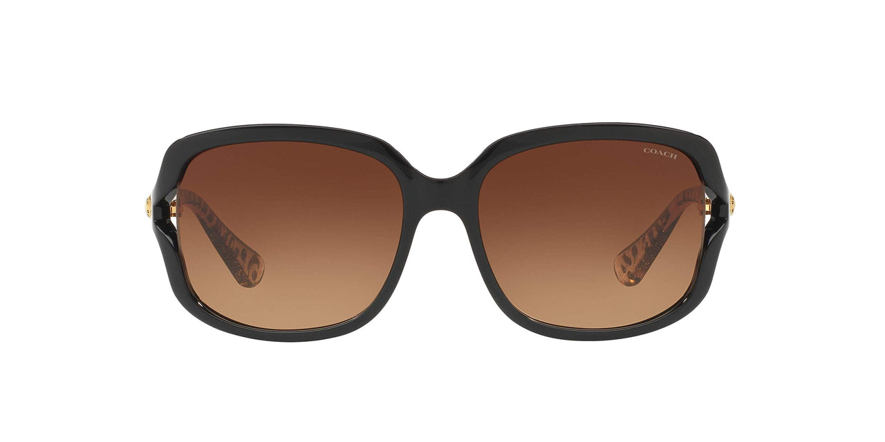 Coach HC8169 Sunglasses, Black/Brown Gradient, 57 mm