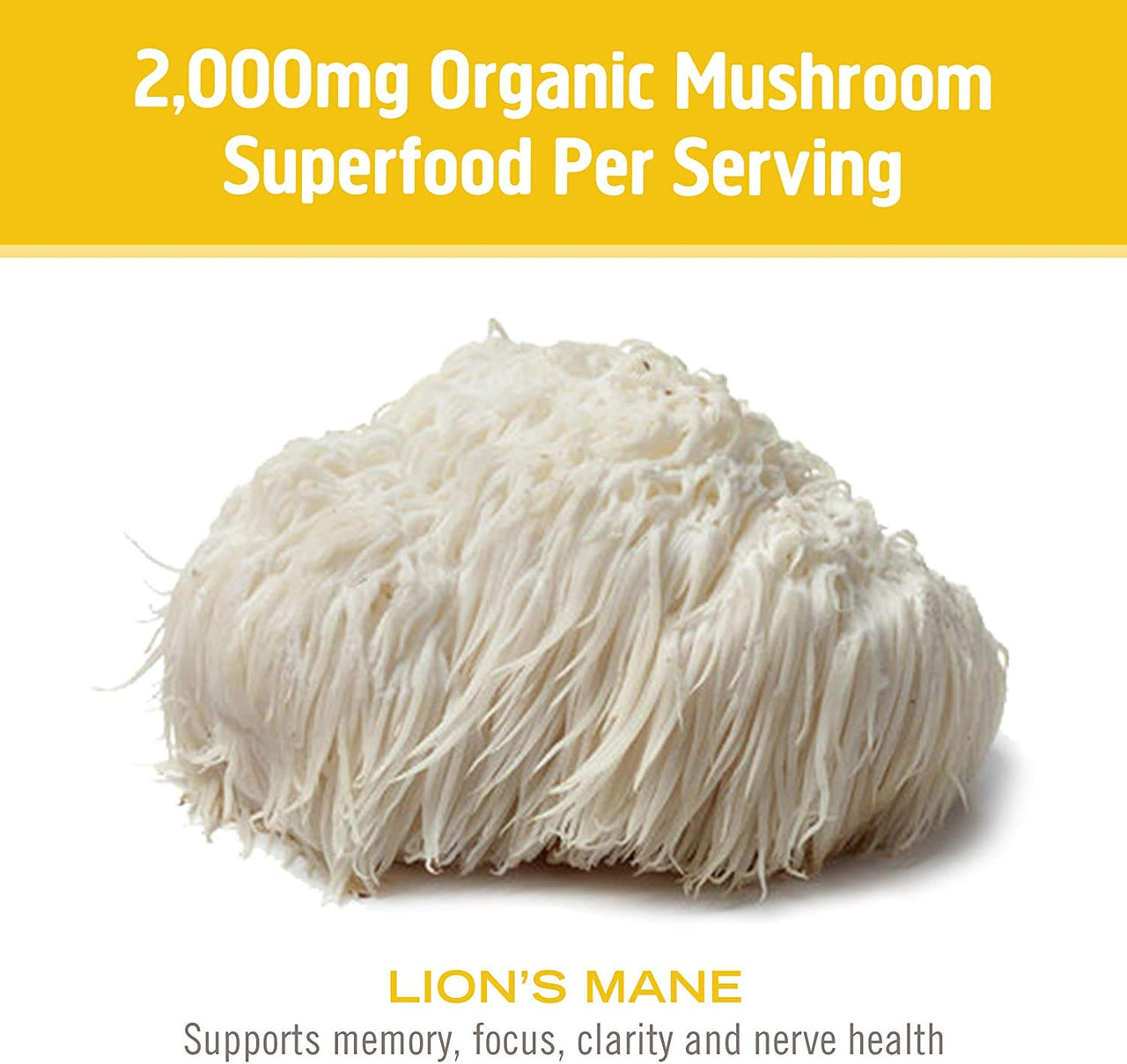 Om Organic Mushroom Superfood Powder, Lions Mane, 3.5 Ounce (50 Servings) (Тwo Рack)