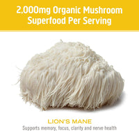 Thumbnail for Om Organic Mushroom Superfood Powder, Lions Mane, 3.5 Ounce (50 Servings) (Тwo Рack)