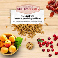 Thumbnail for LAFEBER'S Pellet-Berries Pet Bird Food, Made with Non-GMO and Human-Grade Ingredients, for Cockatiels, Conures, Parakeets (Budgies), Lovebirds (PelletBerries 10 oz)